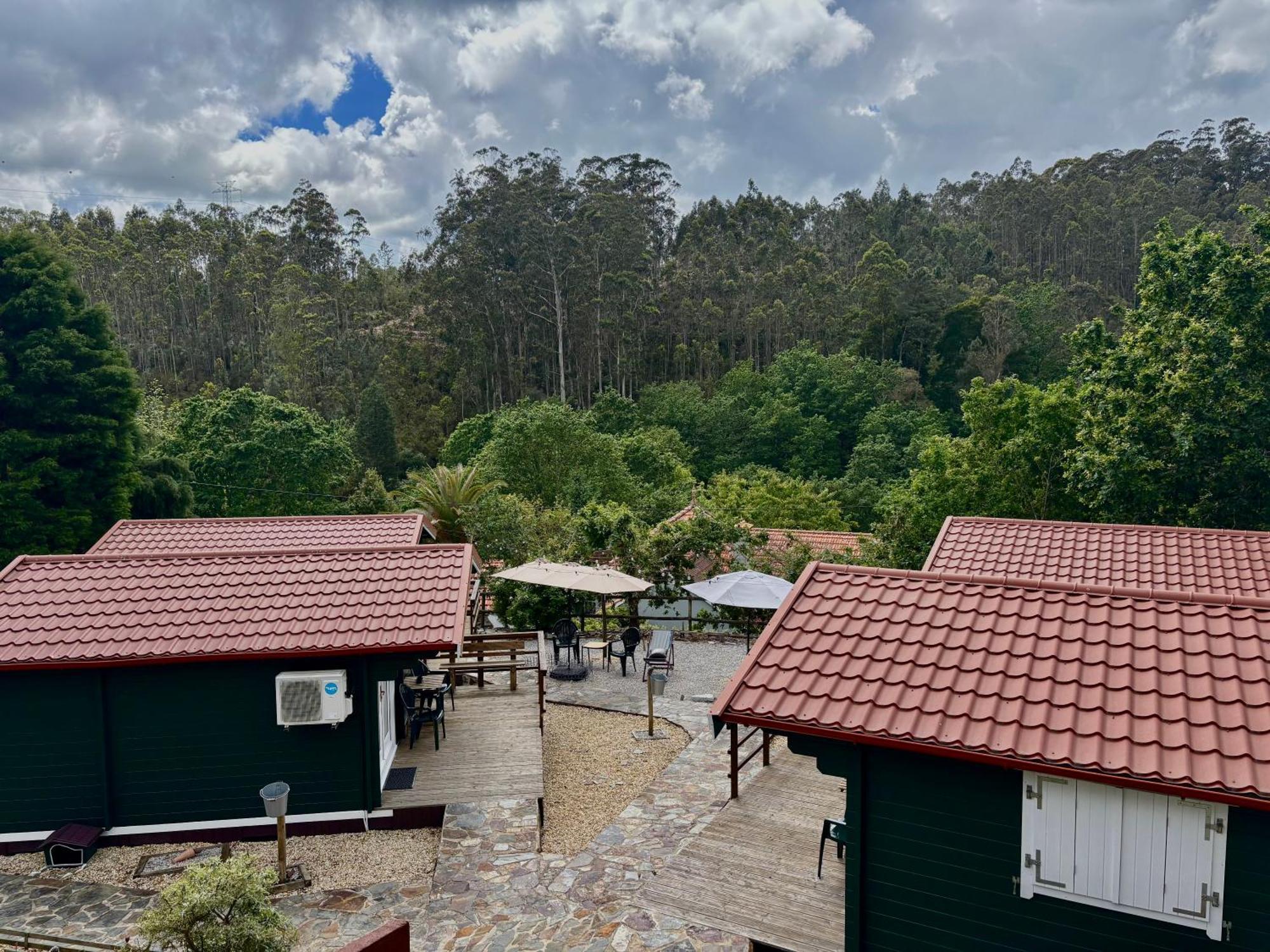 Mimosa Village - Turismo De Natureza Mortágua Екстериор снимка